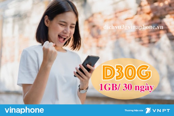 Dang-ky-D30G-Vinaphone