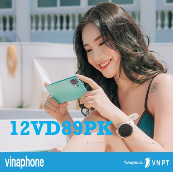 Goi cuoc 12VD89PK Vinaphone