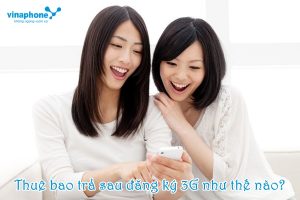 Dang-ky-3g-cho-thue-bao-Vinaphone-tra-sau