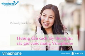 Cú pháp cung cấp thông tin các gói mạng Vinaphone