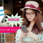 goi-cuoc-6tmax300-mang-vinaphone-1