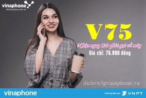 Đăng ký gói V75 mạng Vinaphone