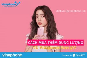 cach-mua-them-dung-luong-4g-vinaphone-theo-gio