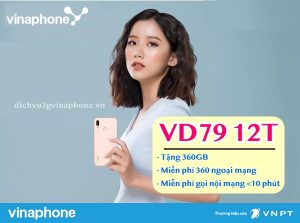 Dang-ky-goi-VD79-12T Vinaphone
