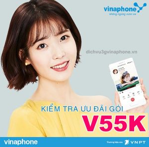 Huong-dan-kiem-tra-uu-dai-goi-V55K-Vinaphone