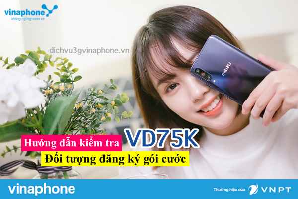 Kiem-tra-doi-tuong-dang-ky-goi-VD75K-Vinaphone