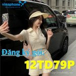 Cách đăng ký gói cước 12TD79P mạng Vinaphone