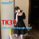 Gói cước TK30 Vinaphone